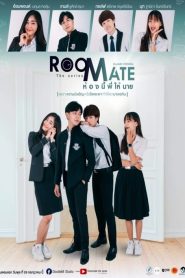 Roommate The Series