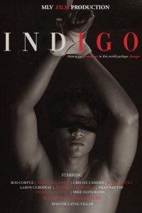 Indigo the Series