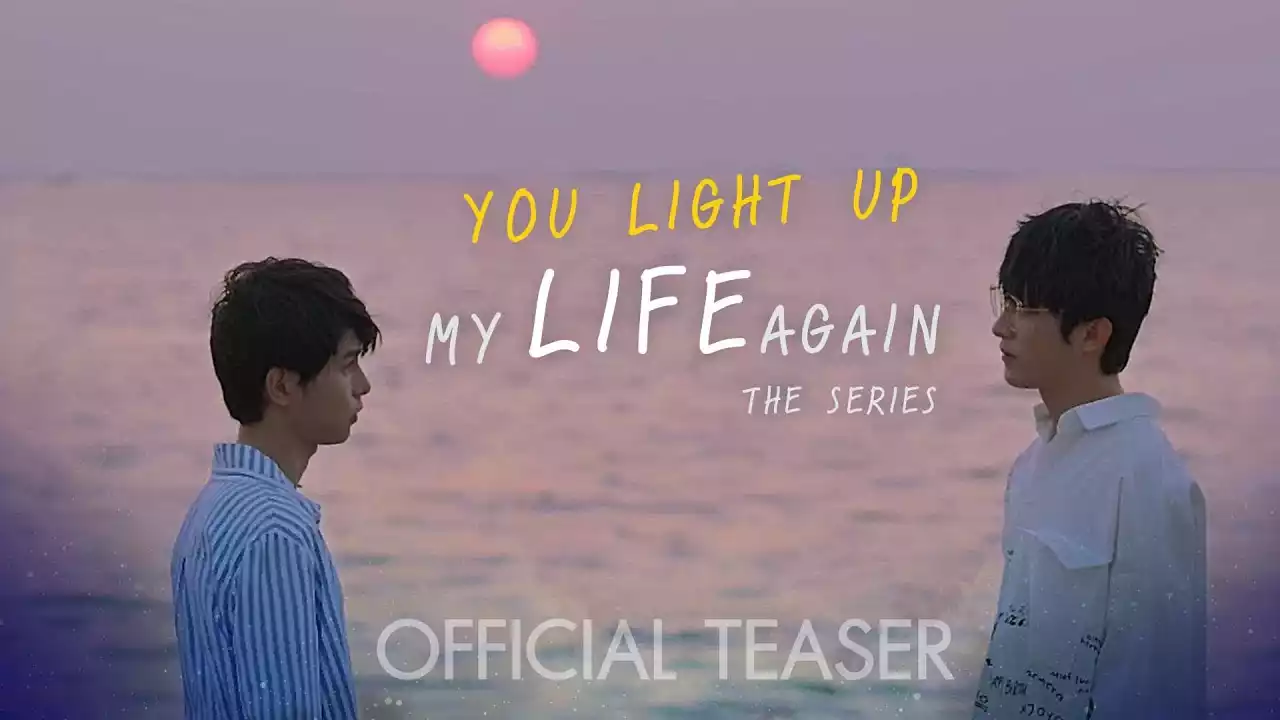 You Light Up My Life Again